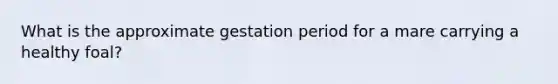 What is the approximate gestation period for a mare carrying a healthy foal?