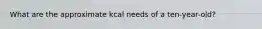 What are the approximate kcal needs of a ten-year-old?