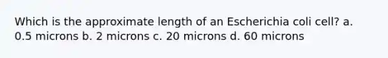 Which is the approximate length of an Escherichia coli cell? a. 0.5 microns b. 2 microns c. 20 microns d. 60 microns