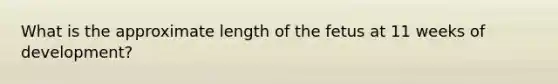 What is the approximate length of the fetus at 11 weeks of development?