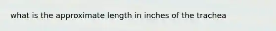 what is the approximate length in inches of the trachea