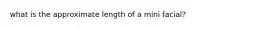 what is the approximate length of a mini facial?