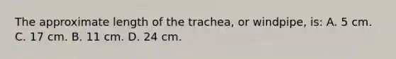 The approximate length of the trachea, or windpipe, is: A. 5 cm. C. 17 cm. B. 11 cm. D. 24 cm.