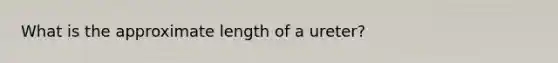 What is the approximate length of a ureter?