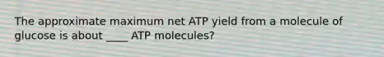 The approximate maximum net ATP yield from a molecule of glucose is about ____ ATP molecules?