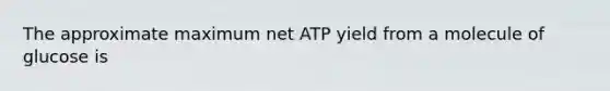 The approximate maximum net ATP yield from a molecule of glucose is