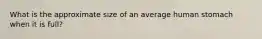 What is the approximate size of an average human stomach when it is full?