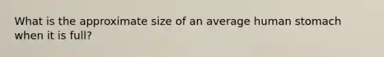 What is the approximate size of an average human stomach when it is full?