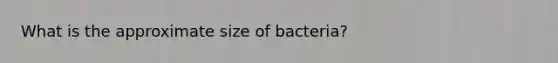 What is the approximate size of bacteria?