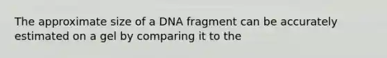 The approximate size of a DNA fragment can be accurately estimated on a gel by comparing it to the