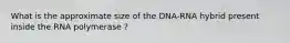 What is the approximate size of the DNA-RNA hybrid present inside the RNA polymerase ?