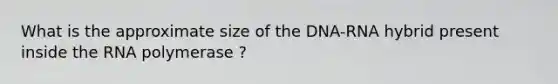 What is the approximate size of the DNA-RNA hybrid present inside the RNA polymerase ?