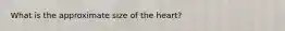 What is the approximate size of the heart?