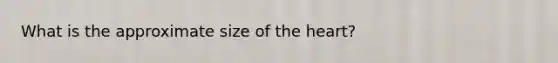 What is the approximate size of the heart?