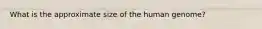 What is the approximate size of the human genome?