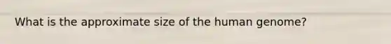 What is the approximate size of the human genome?