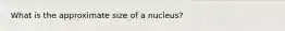 What is the approximate size of a nucleus?