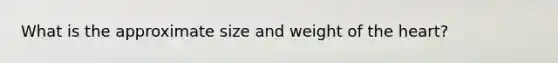 What is the approximate size and weight of the heart?