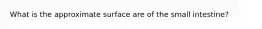 What is the approximate surface are of the small intestine?