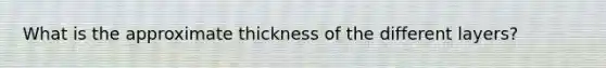 What is the approximate thickness of the different layers?