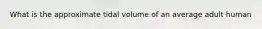 What is the approximate tidal volume of an average adult human