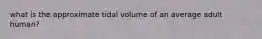 what is the approximate tidal volume of an average adult human?