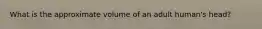 What is the approximate volume of an adult human's head?