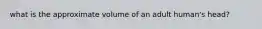 what is the approximate volume of an adult human's head?