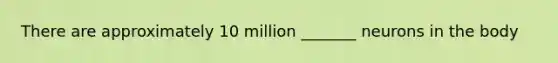 There are approximately 10 million _______ neurons in the body