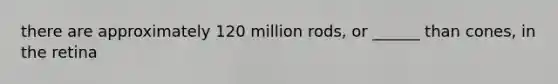 there are approximately 120 million rods, or ______ than cones, in the retina