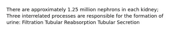 There are approximately 1.25 million nephrons in each kidney; Three interrelated processes are responsible for the formation of urine: Filtration Tubular Reabsorption Tubular Secretion