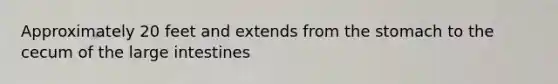 Approximately 20 feet and extends from <a href='https://www.questionai.com/knowledge/kLccSGjkt8-the-stomach' class='anchor-knowledge'>the stomach</a> to the cecum of the <a href='https://www.questionai.com/knowledge/kGQjby07OK-large-intestine' class='anchor-knowledge'>large intestine</a>s