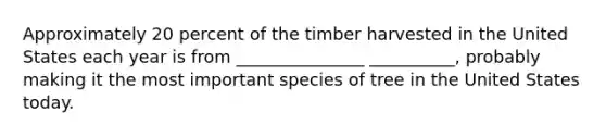 Approximately 20 percent of the timber harvested in the United States each year is from _______________ __________, probably making it the most important species of tree in the United States today.