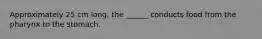 Approximately 25 cm long, the ______ conducts food from the pharynx to the stomach.