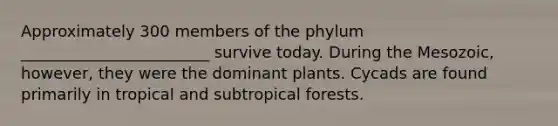 Approximately 300 members of the phylum ________________________ survive today. During the Mesozoic, however, they were the dominant plants. Cycads are found primarily in tropical and subtropical forests.