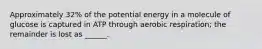 Approximately 32% of the potential energy in a molecule of glucose is captured in ATP through aerobic respiration; the remainder is lost as ______.