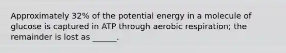 Approximately 32% of the potential energy in a molecule of glucose is captured in ATP through <a href='https://www.questionai.com/knowledge/kyxGdbadrV-aerobic-respiration' class='anchor-knowledge'>aerobic respiration</a>; the remainder is lost as ______.