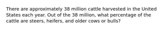 There are approximately 38 million cattle harvested in the United States each year. Out of the 38 million, what percentage of the cattle are steers, heifers, and older cows or bulls?