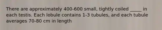 There are approximately 400-600 small, tightly coiled _____ in each testis. Each lobule contains 1-3 tubules, and each tubule averages 70-80 cm in length