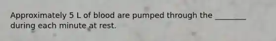 Approximately 5 L of blood are pumped through the ________ during each minute at rest.