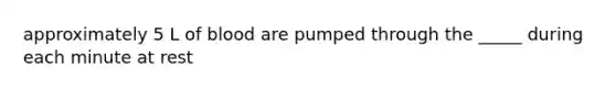 approximately 5 L of blood are pumped through the _____ during each minute at rest