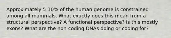 Approximately 5-10% of the human genome is constrained among all mammals. What exactly does this mean from a structural perspective? A functional perspective? Is this mostly exons? What are the non-coding DNAs doing or coding for?