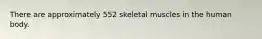 There are approximately 552 skeletal muscles in the human body.