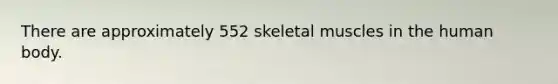 There are approximately 552 skeletal muscles in the human body.