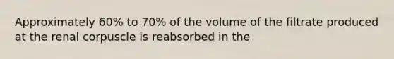 Approximately 60% to 70% of the volume of the filtrate produced at the renal corpuscle is reabsorbed in the