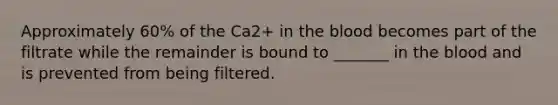 Approximately 60% of the Ca2+ in the blood becomes part of the filtrate while the remainder is bound to _______ in the blood and is prevented from being filtered.