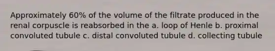 Approximately 60% of the volume of the filtrate produced in the renal corpuscle is reabsorbed in the a. loop of Henle b. proximal convoluted tubule c. distal convoluted tubule d. collecting tubule