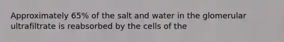 Approximately 65% of the salt and water in the glomerular ultrafiltrate is reabsorbed by the cells of the