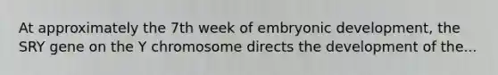 At approximately the 7th week of embryonic development, the SRY gene on the Y chromosome directs the development of the...