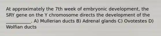 At approximately the 7th week of embryonic development, the SRY gene on the Y chromosome directs the development of the ___________. A) Mullerian ducts B) Adrenal glands C) Ovotestes D) Wolfian ducts